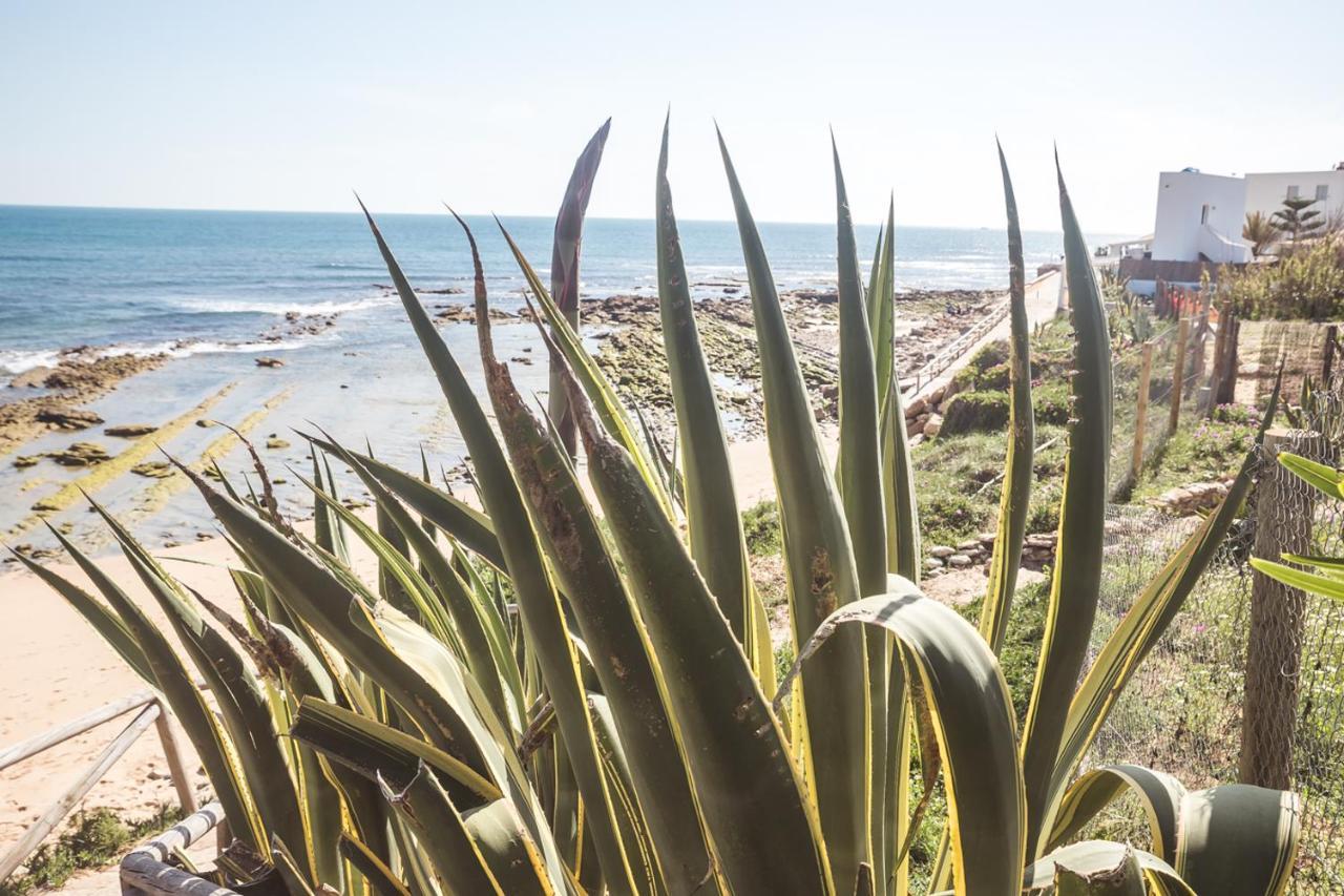 Adosado Nuevo Con Piscina, Playa, Garaje Y Jardin Los Canos De Meca Exteriör bild