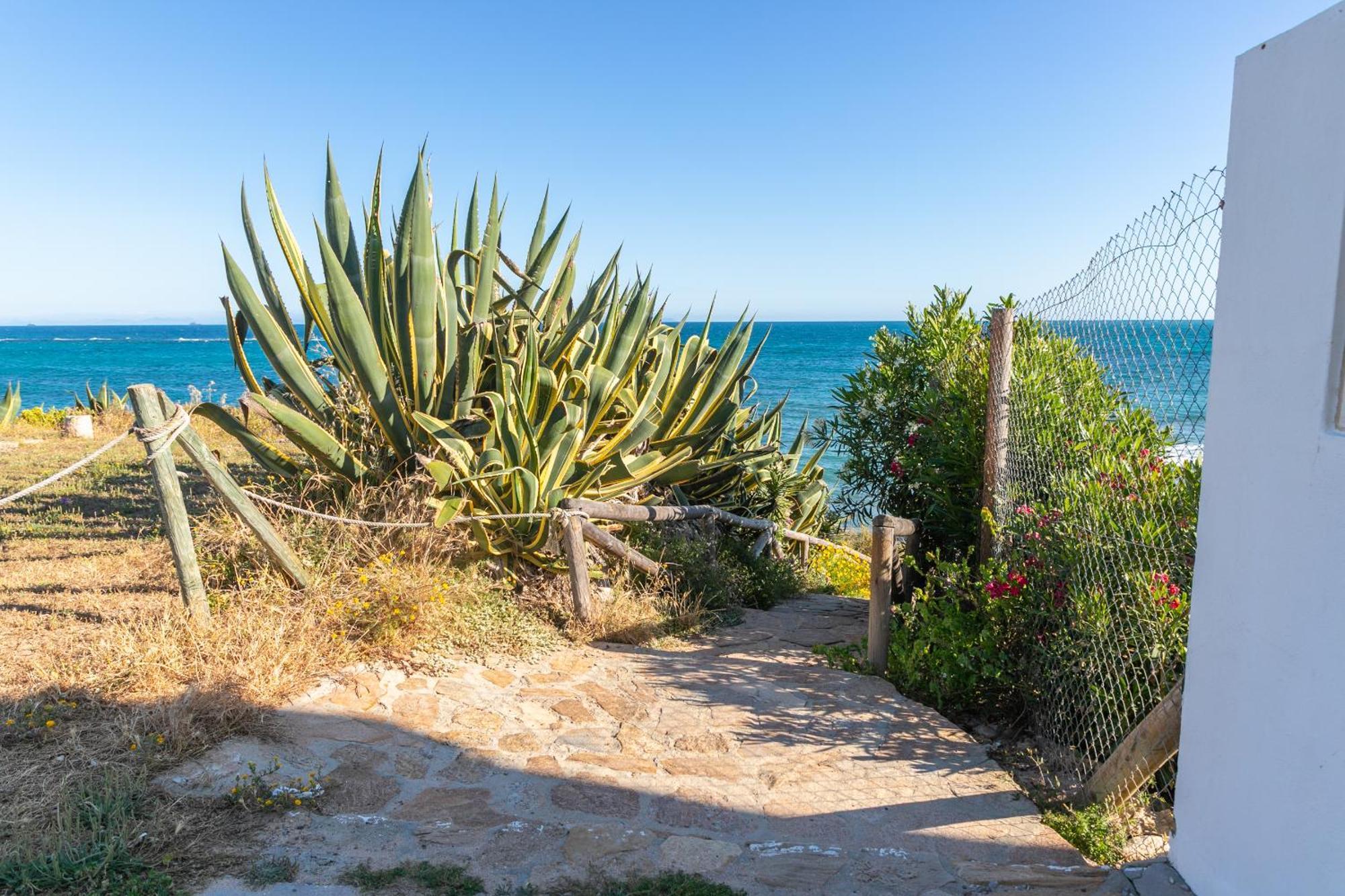 Adosado Nuevo Con Piscina, Playa, Garaje Y Jardin Los Canos De Meca Exteriör bild
