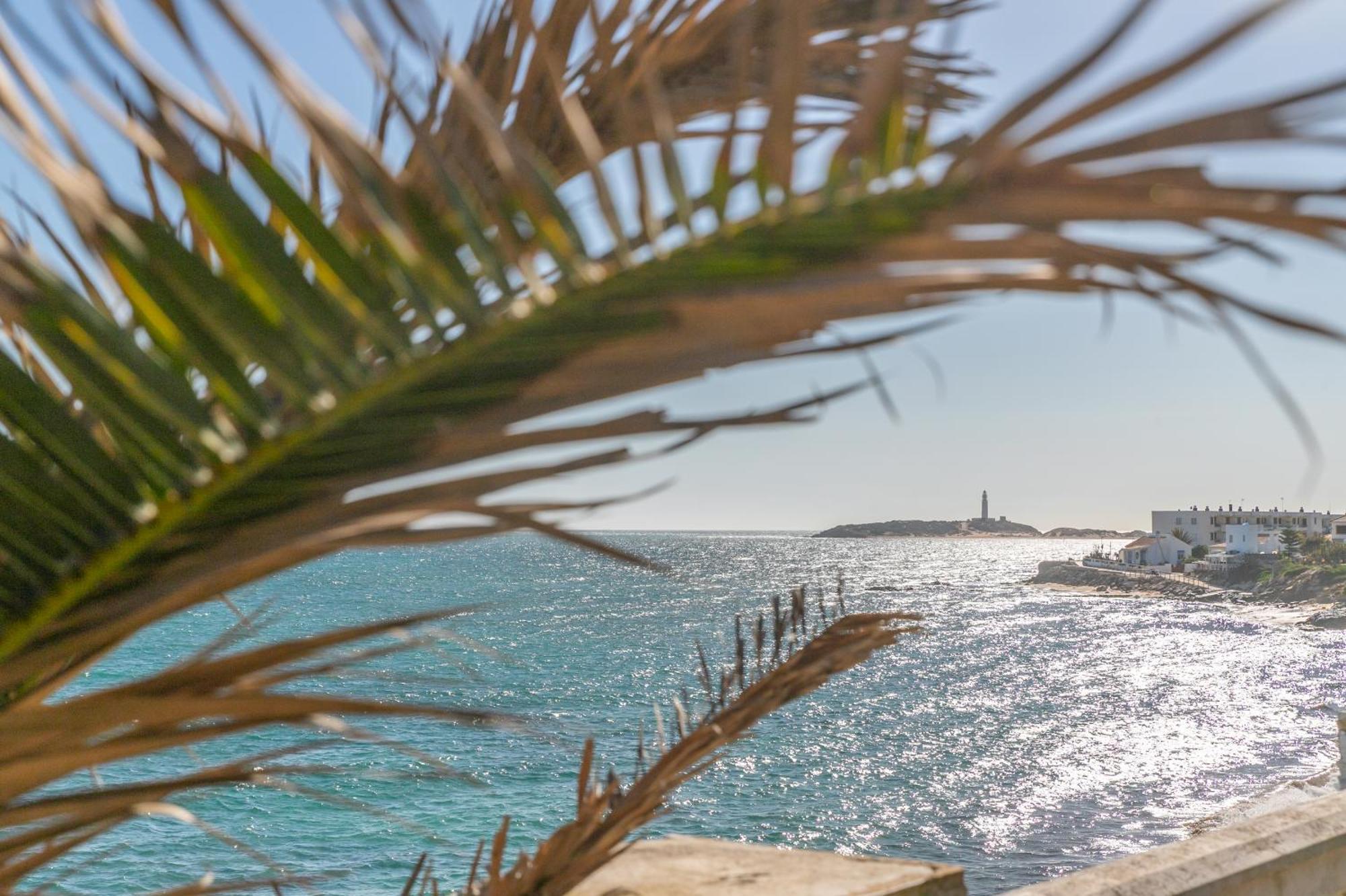 Adosado Nuevo Con Piscina, Playa, Garaje Y Jardin Los Canos De Meca Exteriör bild